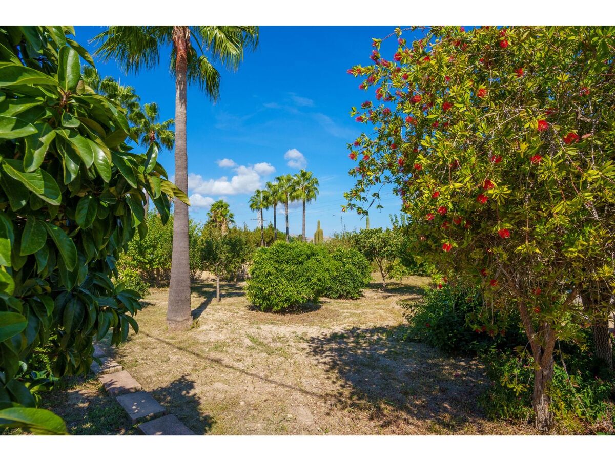 Sa Olivera, maison 80 m² avec piscine à Alcúdia - Photo 41