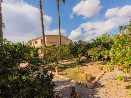 Ses Sitjoles – Maison 3 chambres avec piscine à Campos - Photo 43
