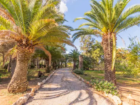 Ses Sitjoles – Maison 3 chambres avec piscine à Campos - Photo 46