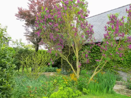 Maison rustique à Saint-Léonard, vue sur la baie et jardin : photo 16