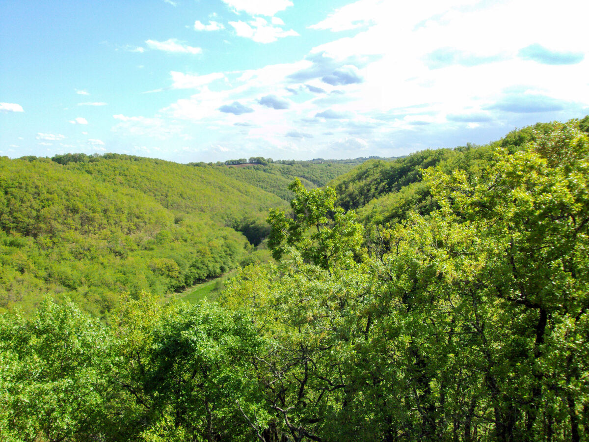 Gite Cuzac à Labastide-Murat, 4 pers., vue panoramique - Photo 29
