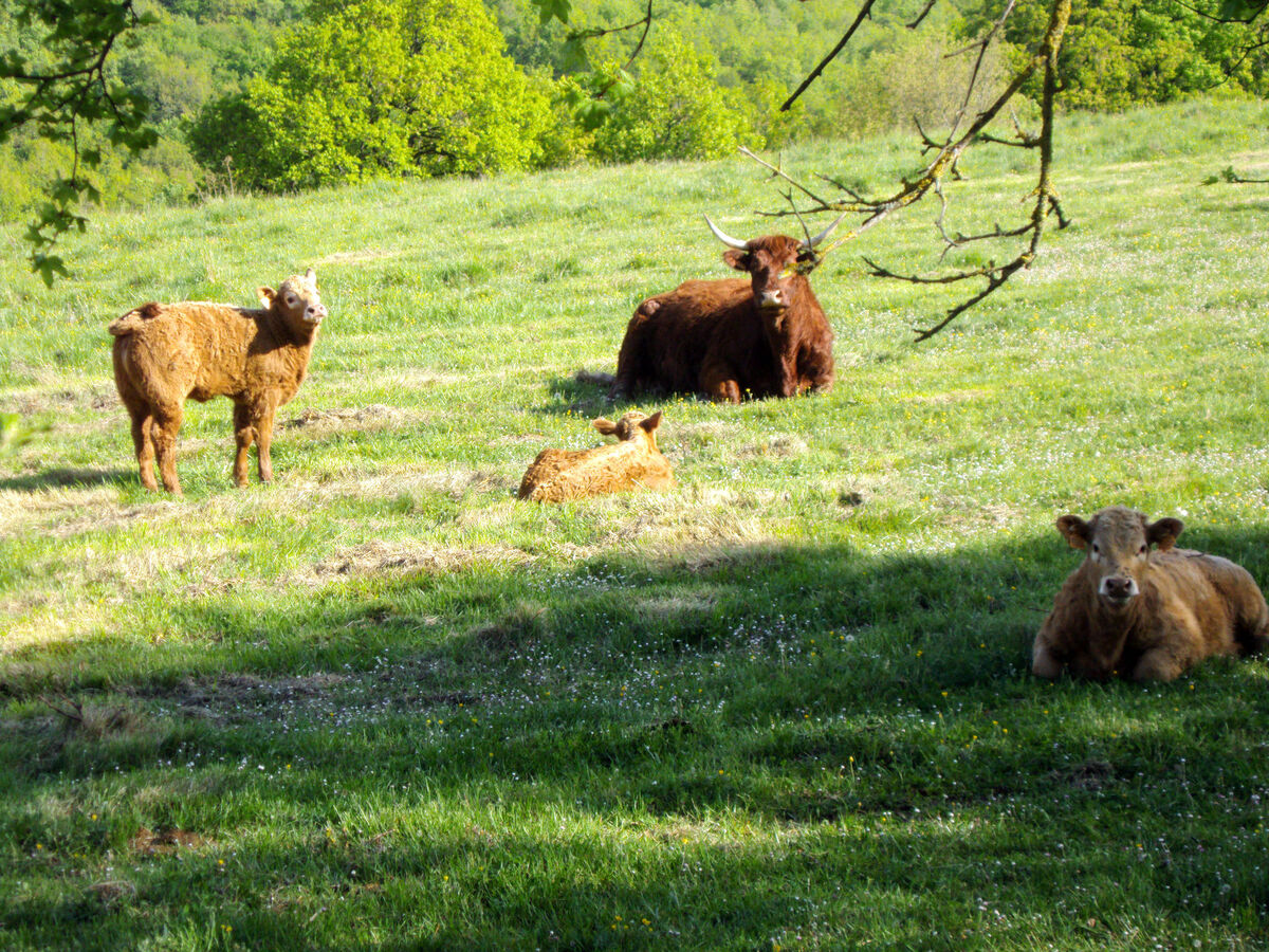 Gite Cuzac à Labastide-Murat, 4 pers., vue panoramique - Photo 31