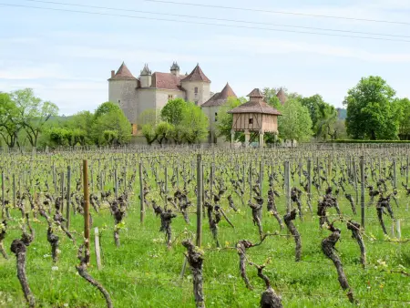 Le Mas de Serre, gîte rustique avec piscine à Mercuès : photo 24