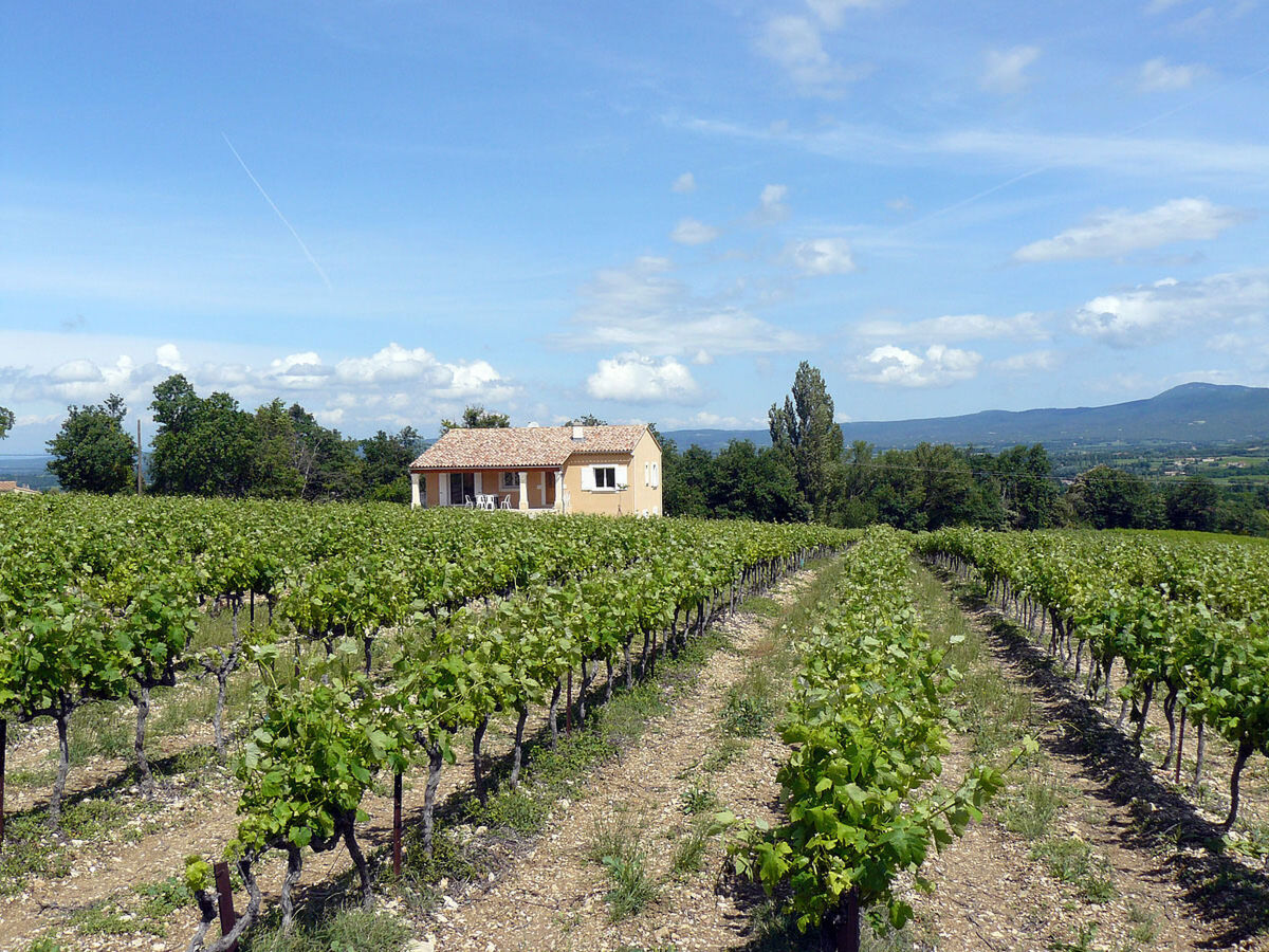 Les Lilas Blancs – Maison 120 m² à Valréas - Photo 16