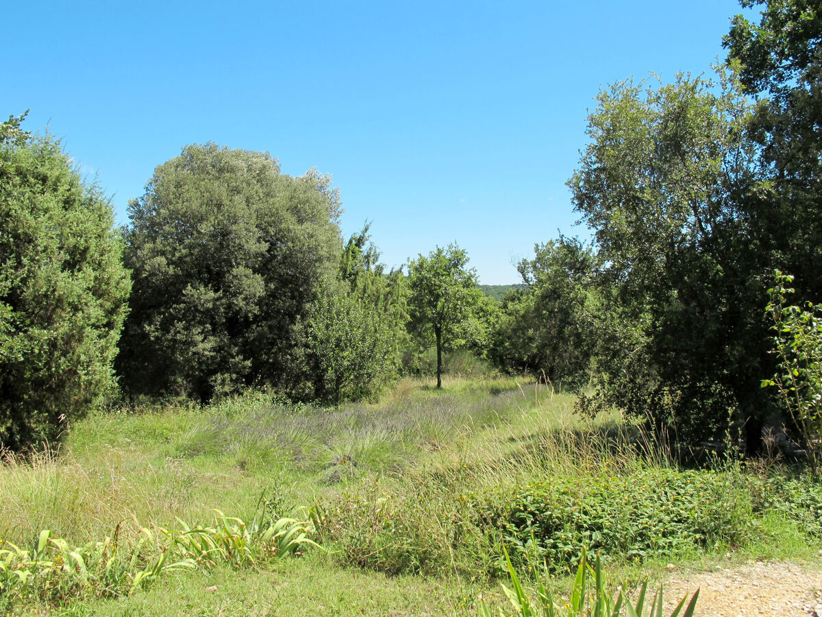 Le Moulin de Verfeuil – Maison 4 pers. en verdure - Photo 5