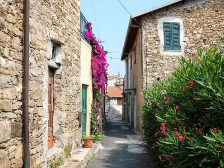 Marisa (DOL126), Location Appartement 4 personnes à Dolcedo - Photo 27