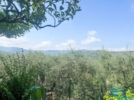 Marisa (DOL126), Location Appartement 4 personnes à Dolcedo - Photo 30