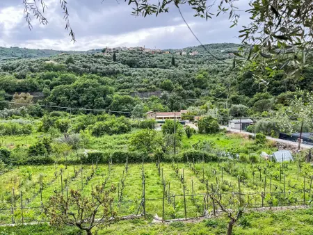 NISSO, Location Appartement 5 personnes à Dolcedo - Photo 18
