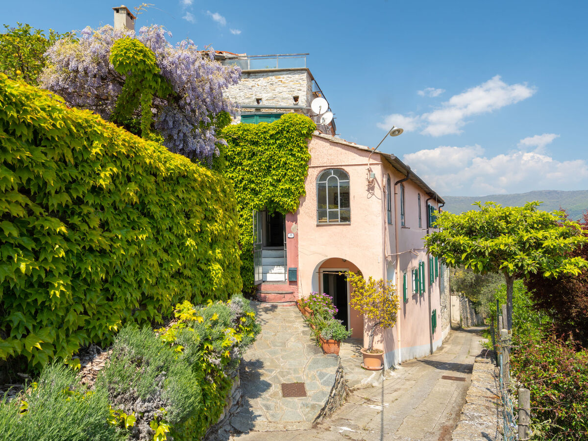 Bellissimi, maison 4 chambres vue vallée à Dolcedo - Photo 1
