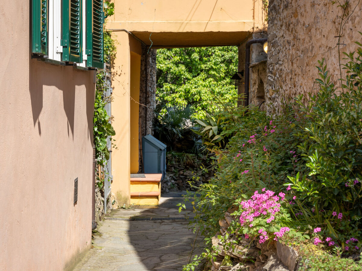 Bellissimi, maison 4 chambres vue vallée à Dolcedo - Photo 21