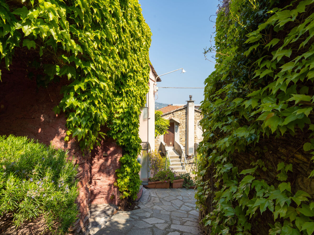 Bellissimi, maison 4 chambres vue vallée à Dolcedo - Photo 22
