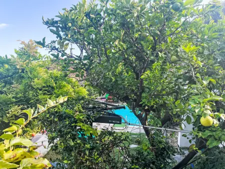 Bella Vista (DOL284), Maison 4 personnes à Dolcedo - Photo 27