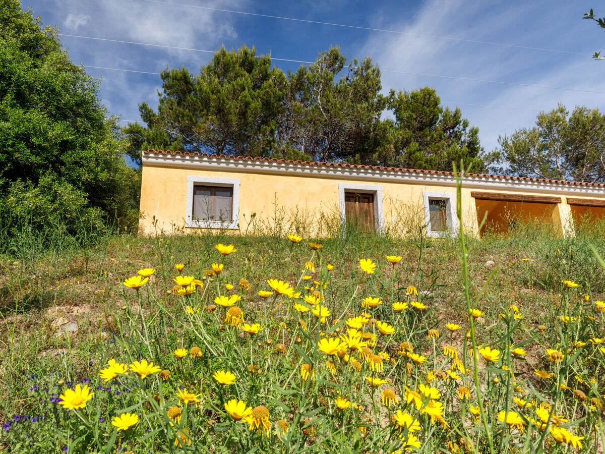 Gli Scalitti – Maison rustique 4 pers. à Badesi - Photo 4