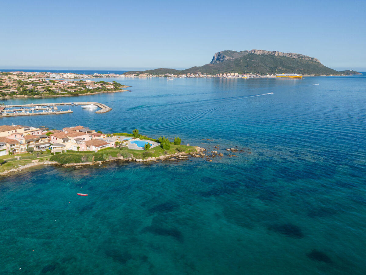 Agrifoglio – Appartement 6 pers. à 300 m de la mer - Photo 3