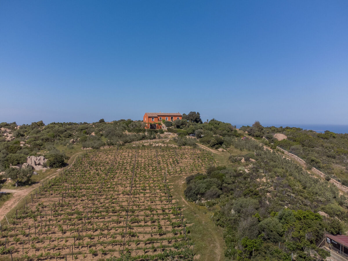 Gîte Rita à Palau : maison rustique avec vue mer - Photo 2