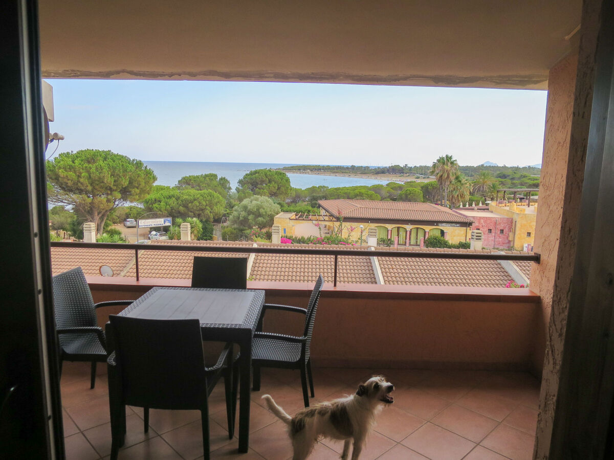 Su Tramatzu, studio 35-40 m² à Porto Corallo - Photo 12
