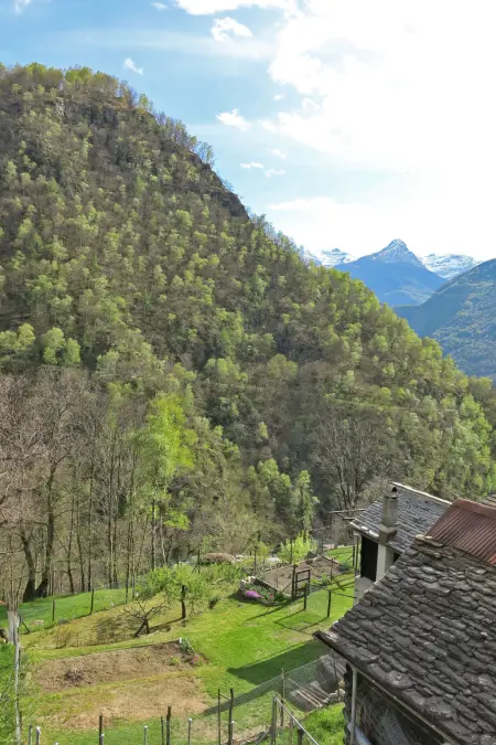 Rustico Diego, Maison 4 personnes à Malvaglia - Photo 12