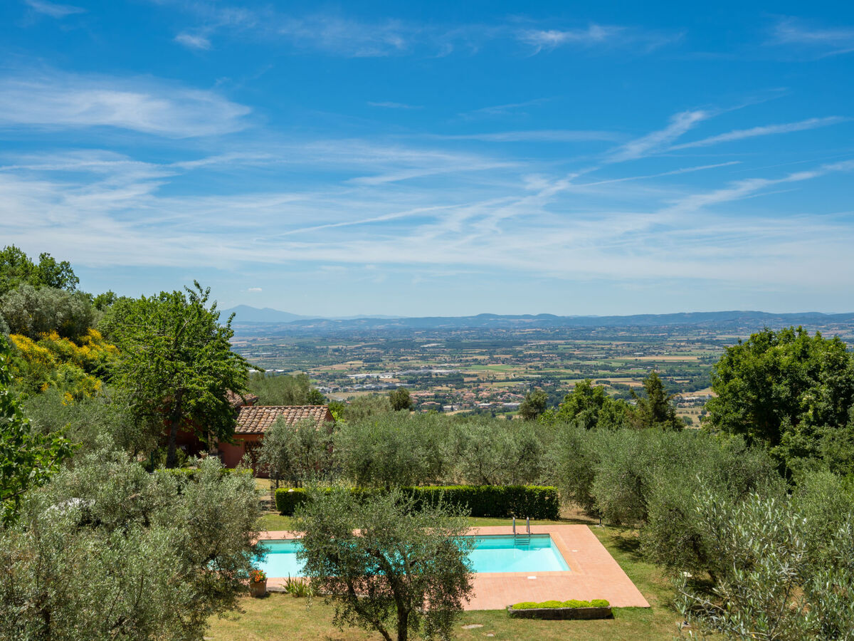 Il Sorbino - Maison 6 pers. avec piscine à Castiglion Fiorentino - Photo 23