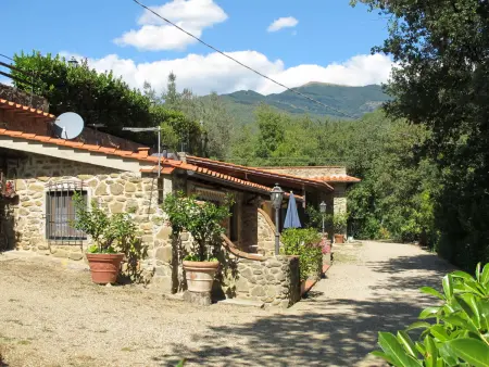 Maison jumelée La Fornace à Loro Ciuffenna, piscine et jardin : photo 14