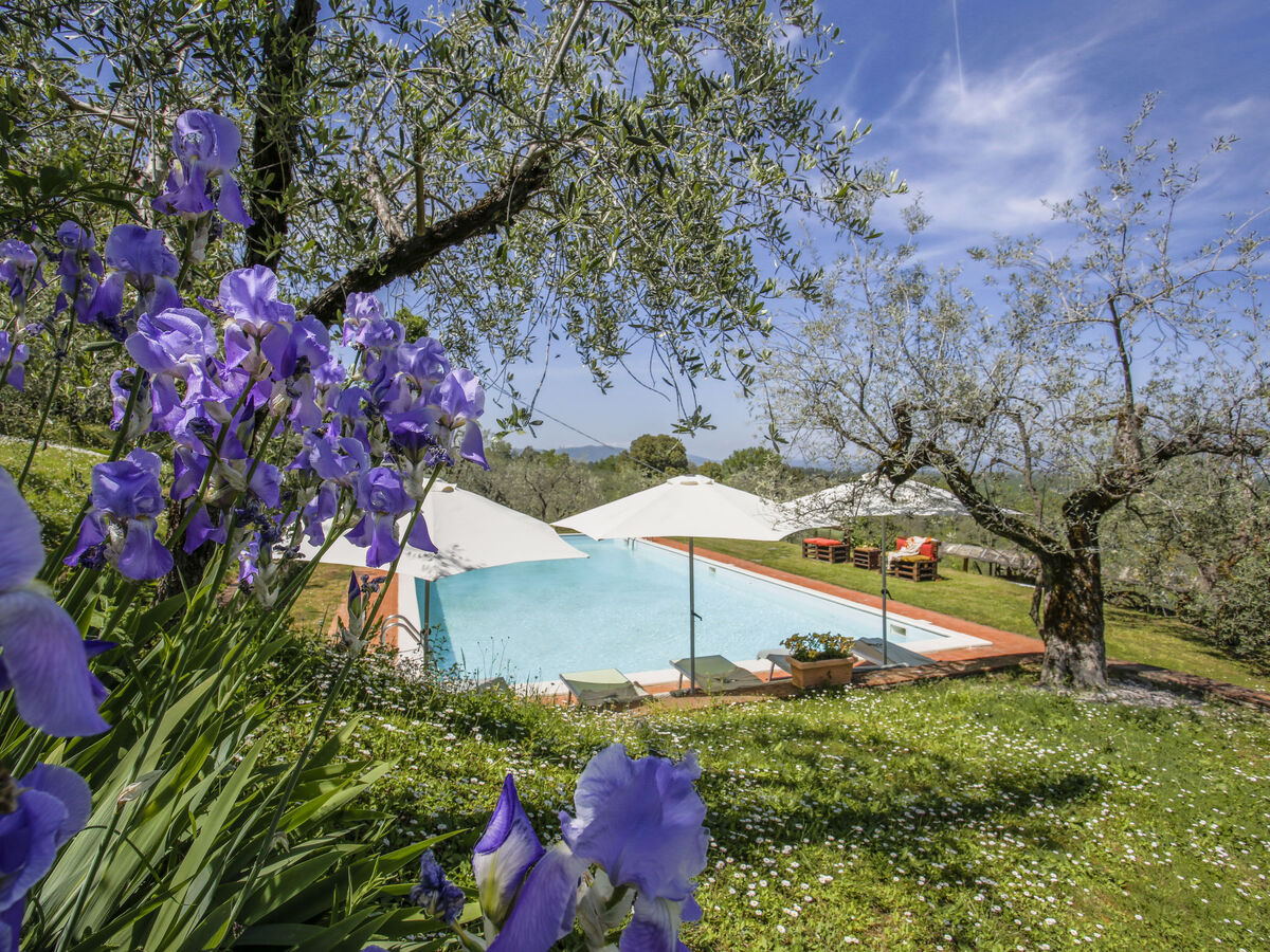 Le Poggiole, gîte rustique 45 m² en domaine agricole - Photo 19