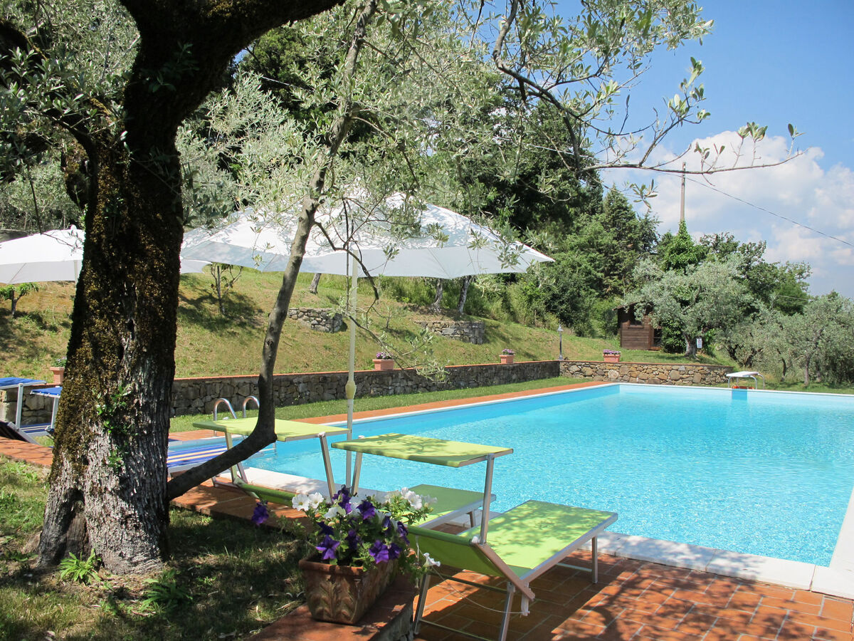 Le Poggiole, gîte rustique 4 pers. avec piscine - Photo 23