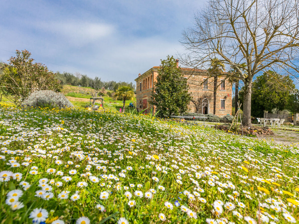 Podere Casina - Gîte rustique 11 pers. Scrofiano - Photo 1