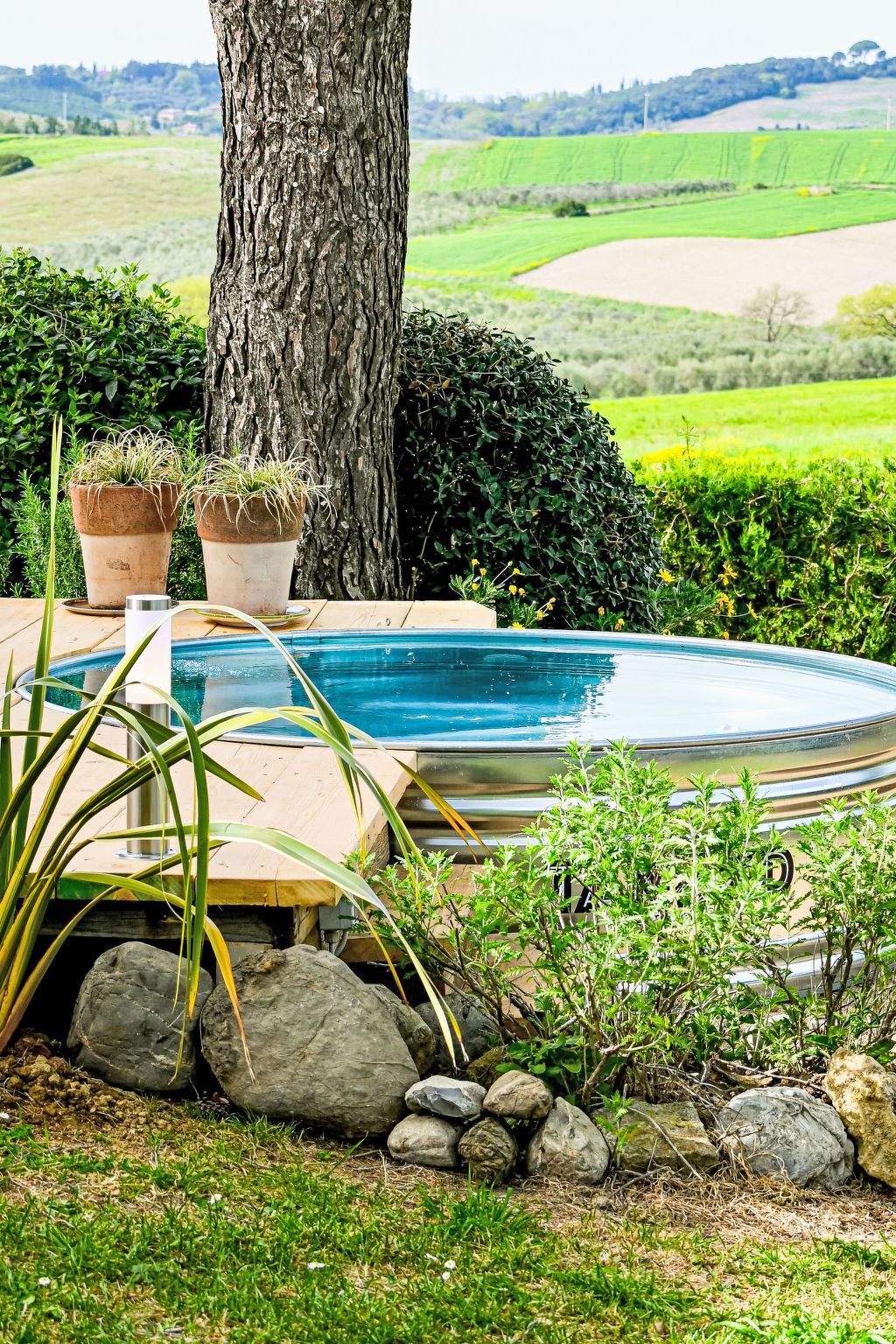 La Carraia – Gîte 5 pers. avec piscine à Bibbona - Photo 3