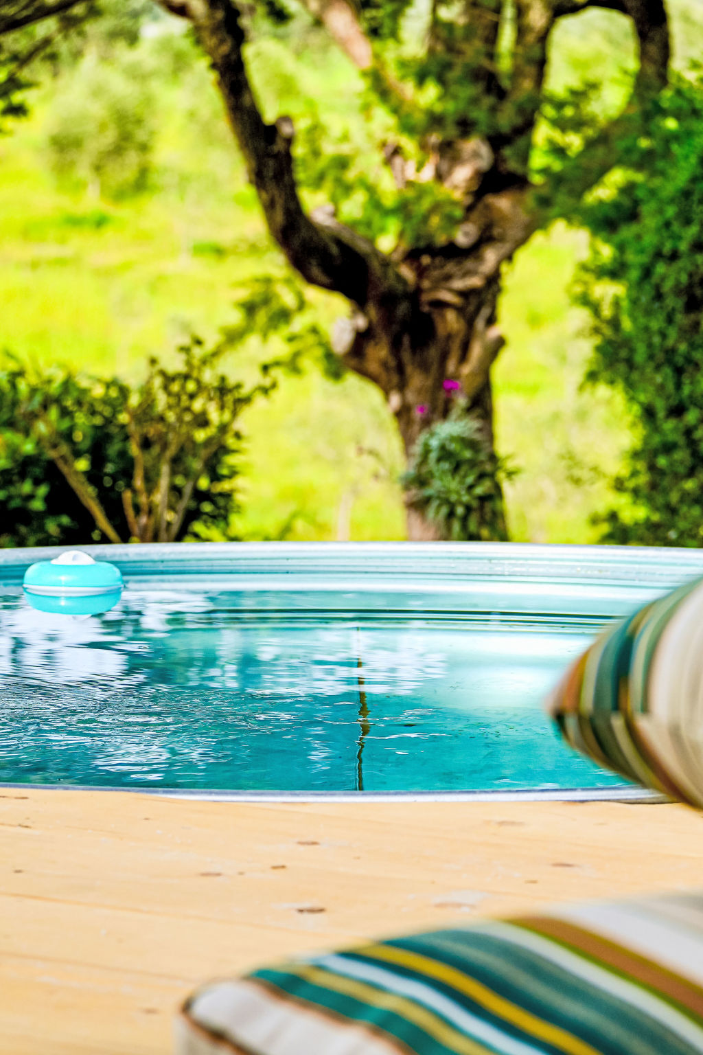 La Carraia – Gîte 5 pers. avec piscine à Bibbona - Photo 32