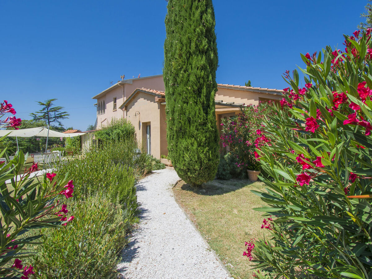 La Carraia – Gîte 5 pers. avec piscine à Bibbona - Photo 52