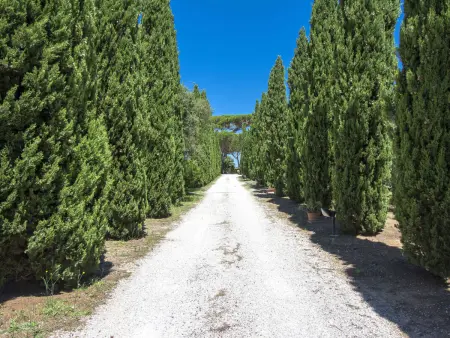 Appartement rustique à Cecina avec jardinet et piscine commune : photo 4