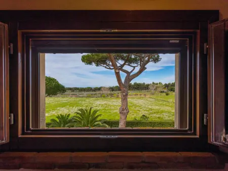 Appartement à Cecina avec piscine commune et jardinet : photo 31