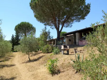 Il Borgo - Maison 5 pers. à Guardistallo, piscine - Photo 5
