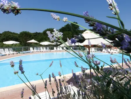 Il Borgo - Maison 5 pers. à Guardistallo, piscine - Photo 14