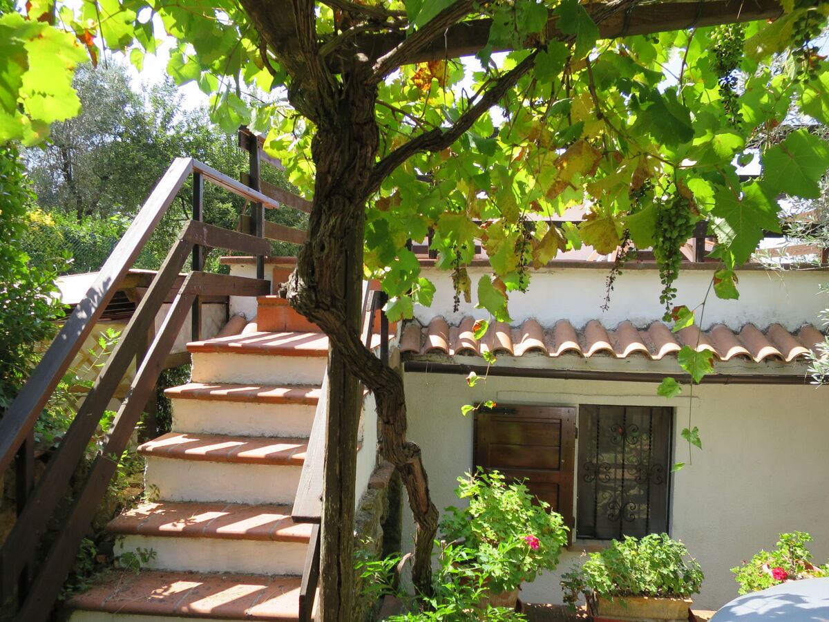 Maison Ulivo avec terrasse panoramique à Montescudaio - Photo 6