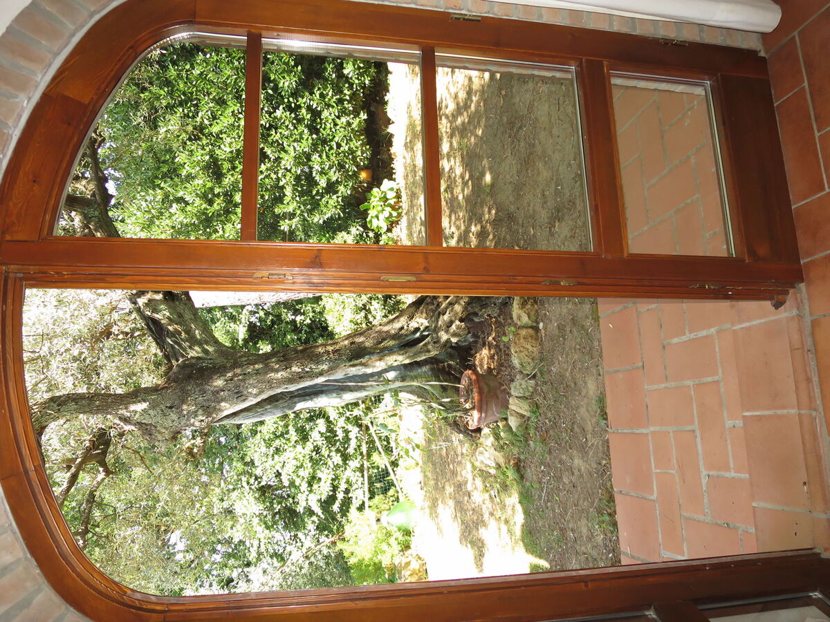 Maison Ulivo avec terrasse panoramique à Montescudaio - Photo 21
