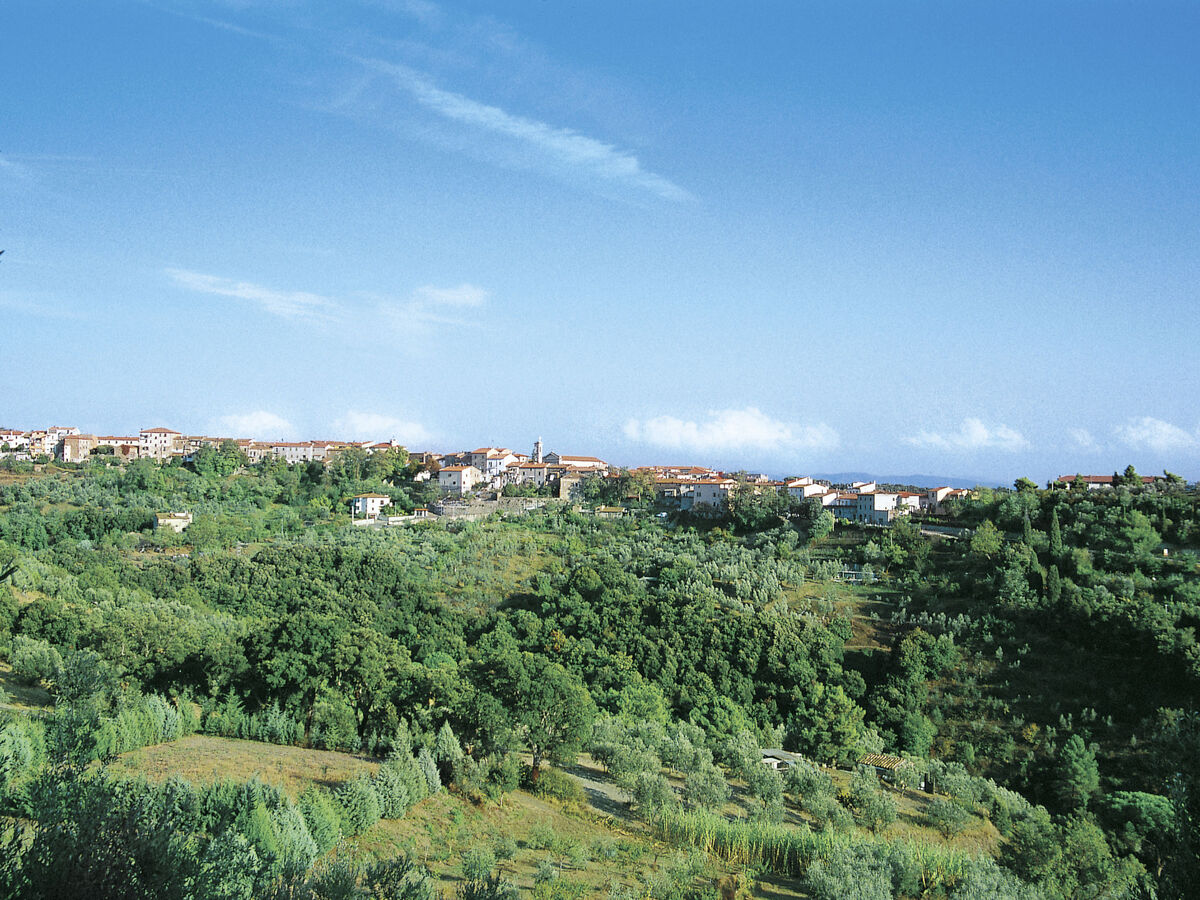 Studio Lince 21 m² avec vue panoramique, Riparbella - Photo 36