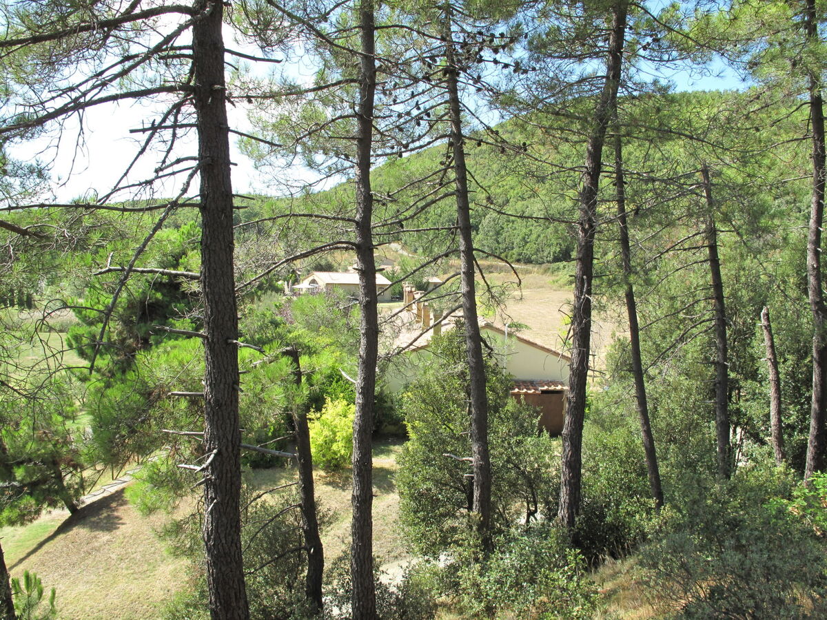 Falco – Appartement 5 pers. vue panoramique, Riparbella - Photo 48