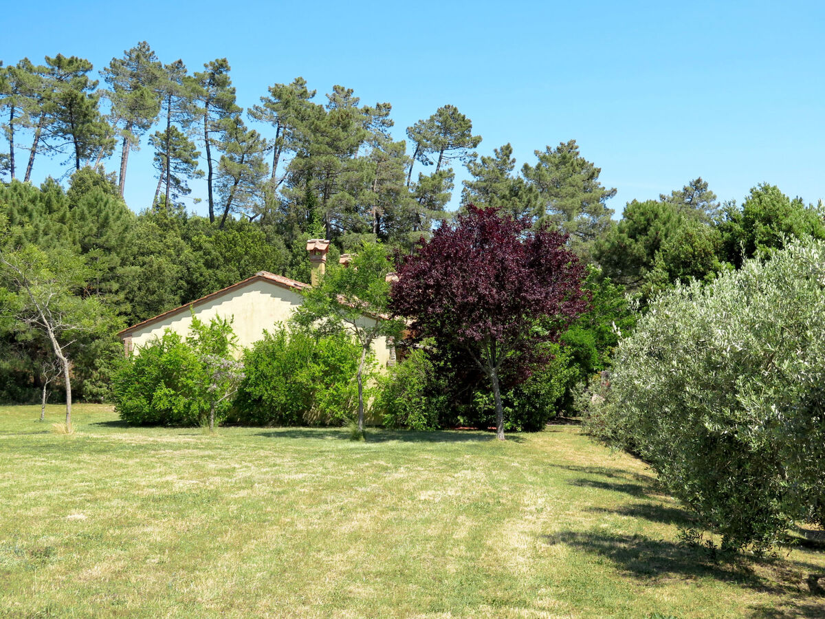 Falco – Appartement 5 pers. vue panoramique, Riparbella - Photo 49