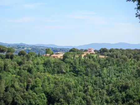 Il Felciaione, appartement 6 pers. à Riparbella - Photo 22