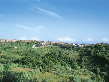 Il Felciaione, appartement 6 pers. à Riparbella - Photo 28