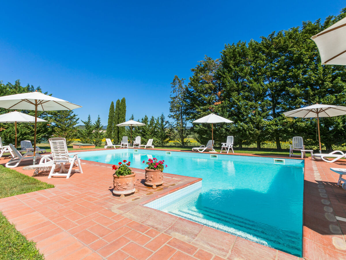 Studio Marrone 34 m² avec terrasse à Suvereto - Photo 17