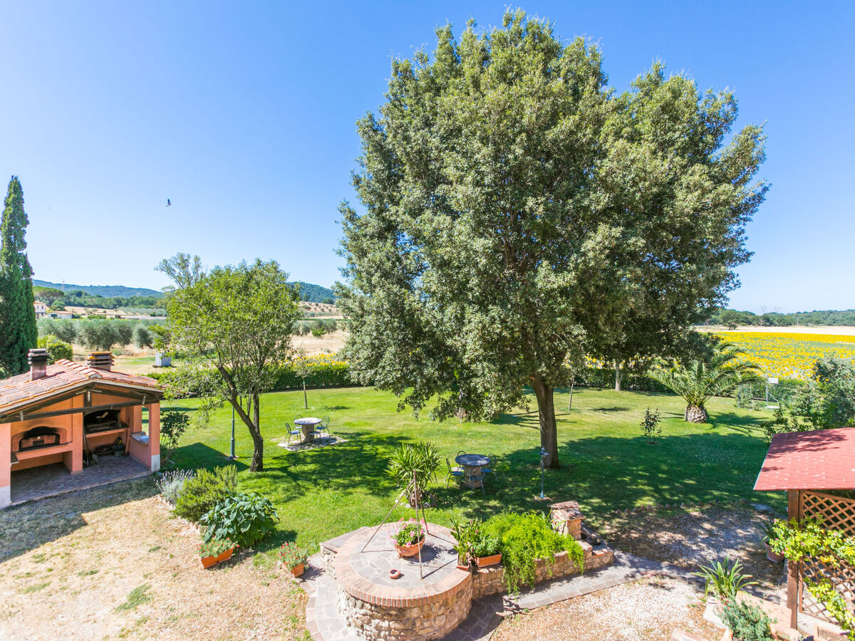 Studio Marrone 34 m² avec terrasse à Suvereto - Photo 32