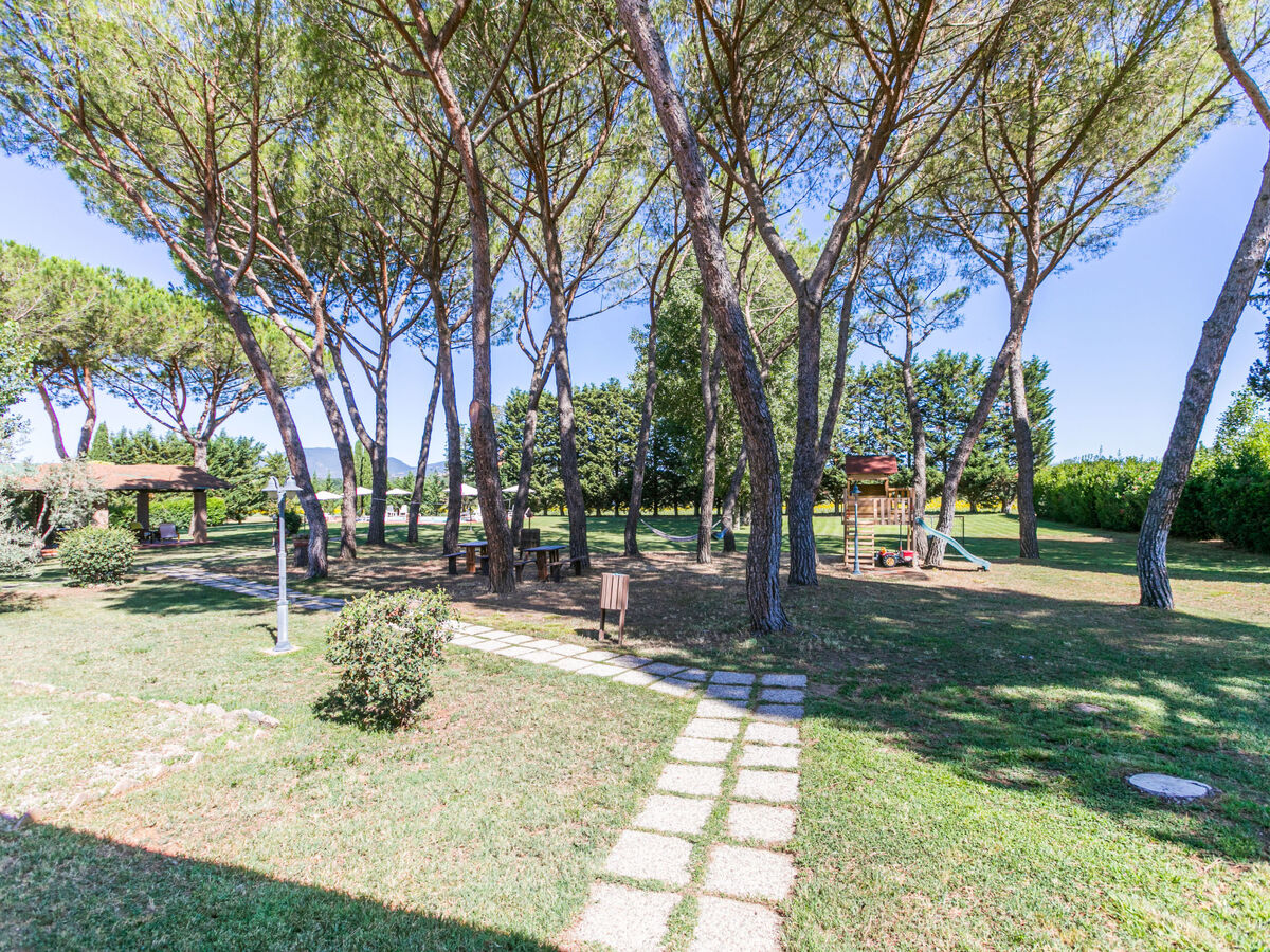 Studio Marrone 34 m² avec terrasse à Suvereto - Photo 40