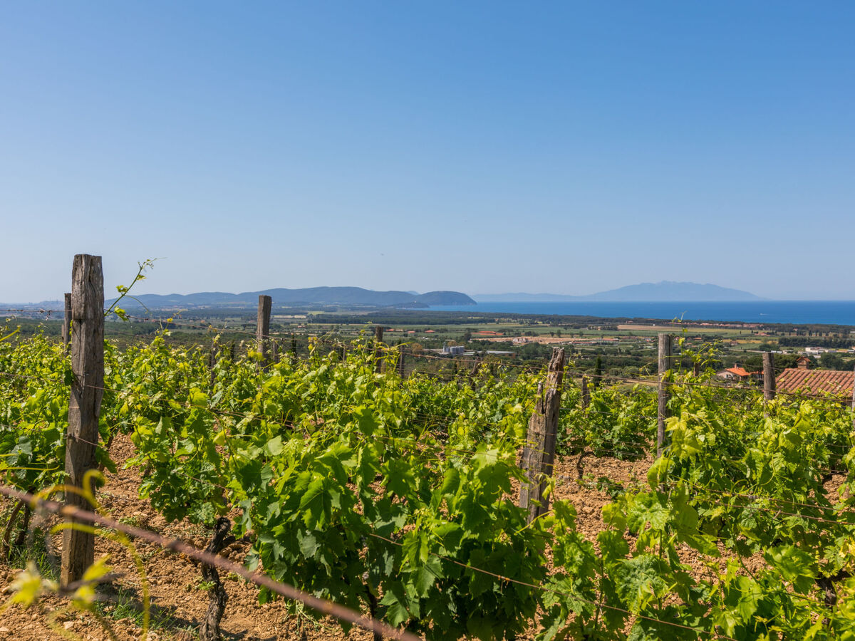 Il Corbezzolo - Maison 2 pièces avec vue mer à San Vincenzo - Photo 38