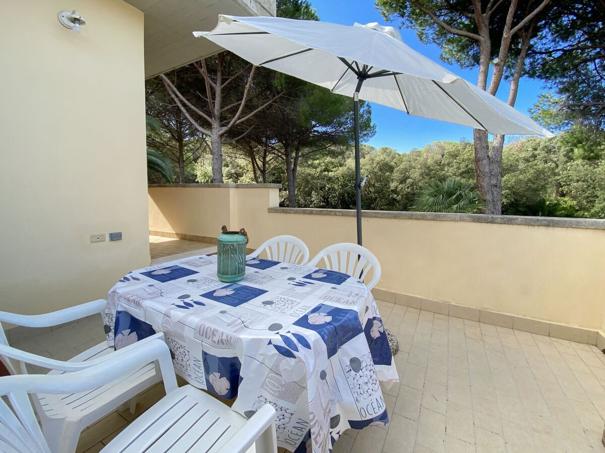 Appartement Pineforest à Vada, 200 m de la plage - Photo 2
