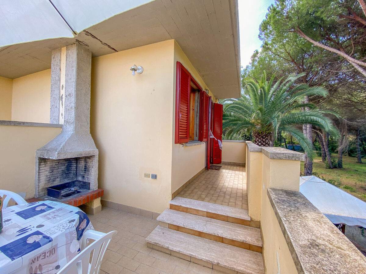 Appartement Pineforest à Vada, 200 m de la plage - Photo 21