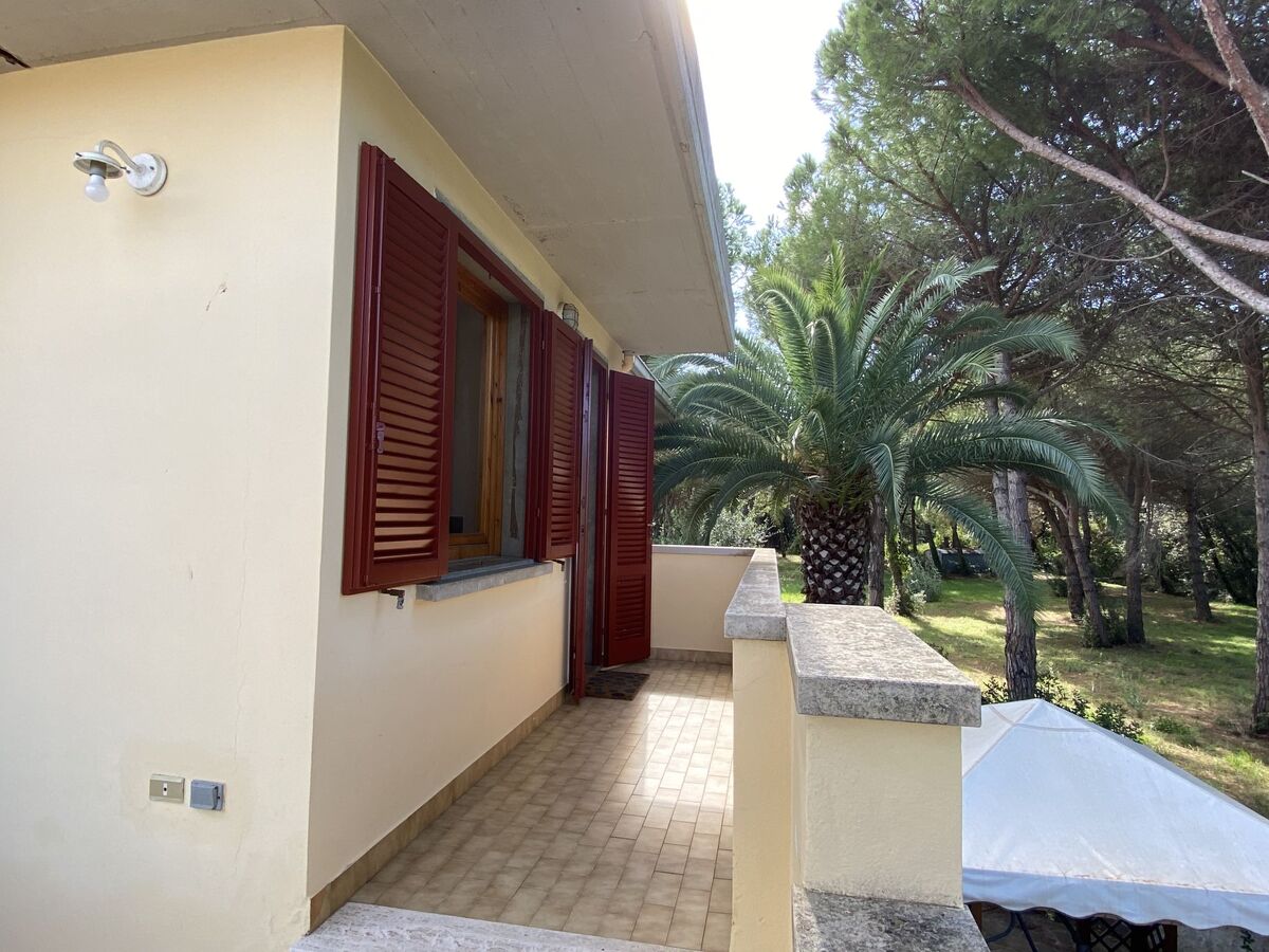 Appartement Pineforest à Vada, 200 m de la plage - Photo 26