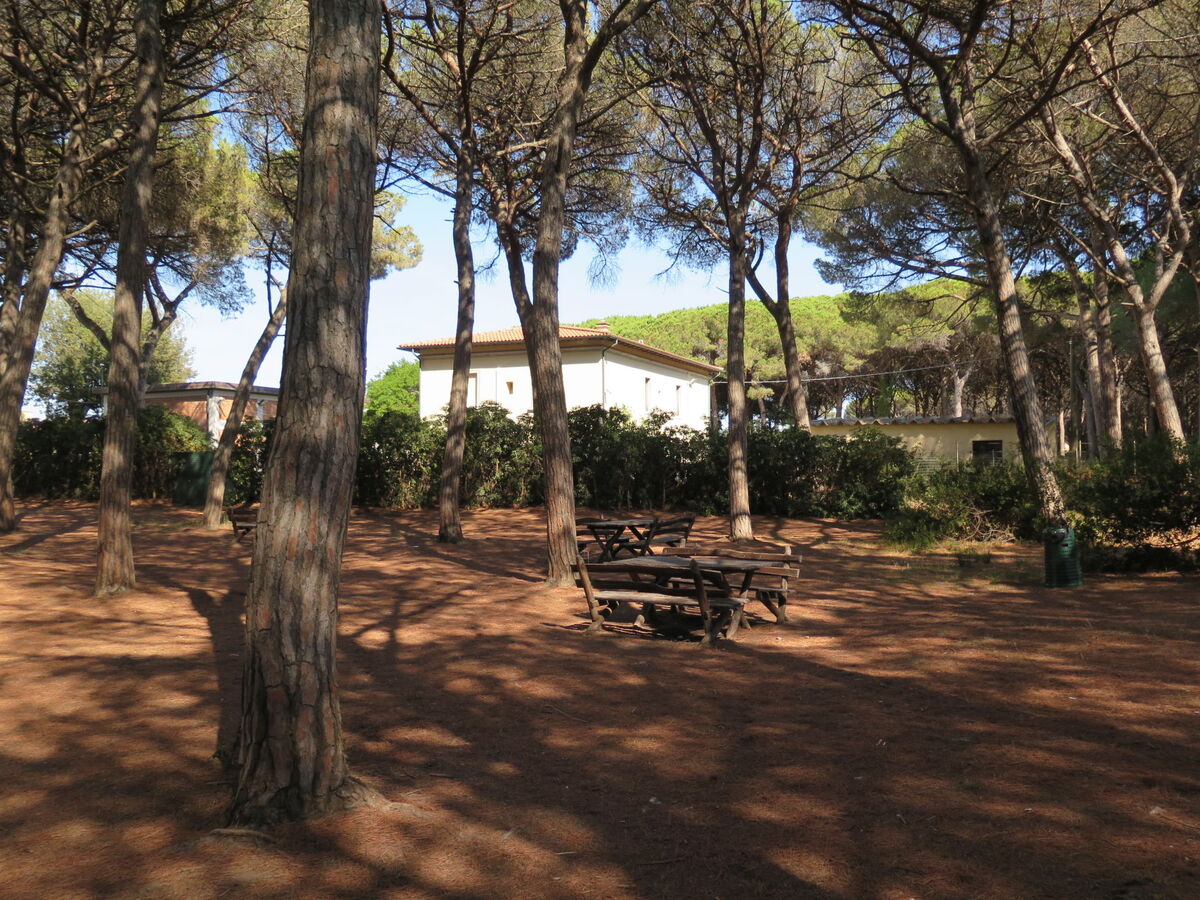 Appartement Pineforest à Vada, 200 m de la plage - Photo 28