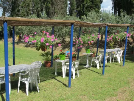 Conte Francesco I - Maison 8 pers. Certaldo : photo 29
