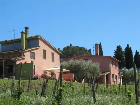 Conte Francesco I - Maison 8 pers. Certaldo : photo 38